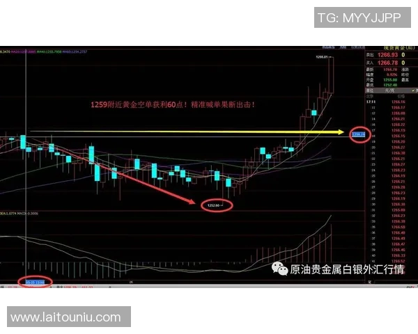 雷恩与奥尔良历史交锋记录分析及战绩回顾