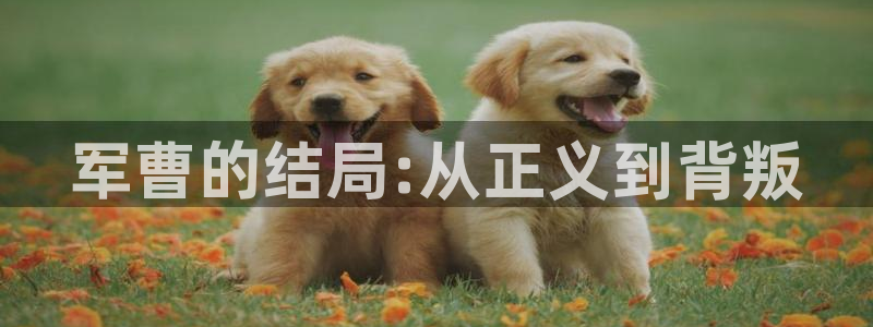 香蕉漫画秘密教学：军曹的结局:从正义到背叛
